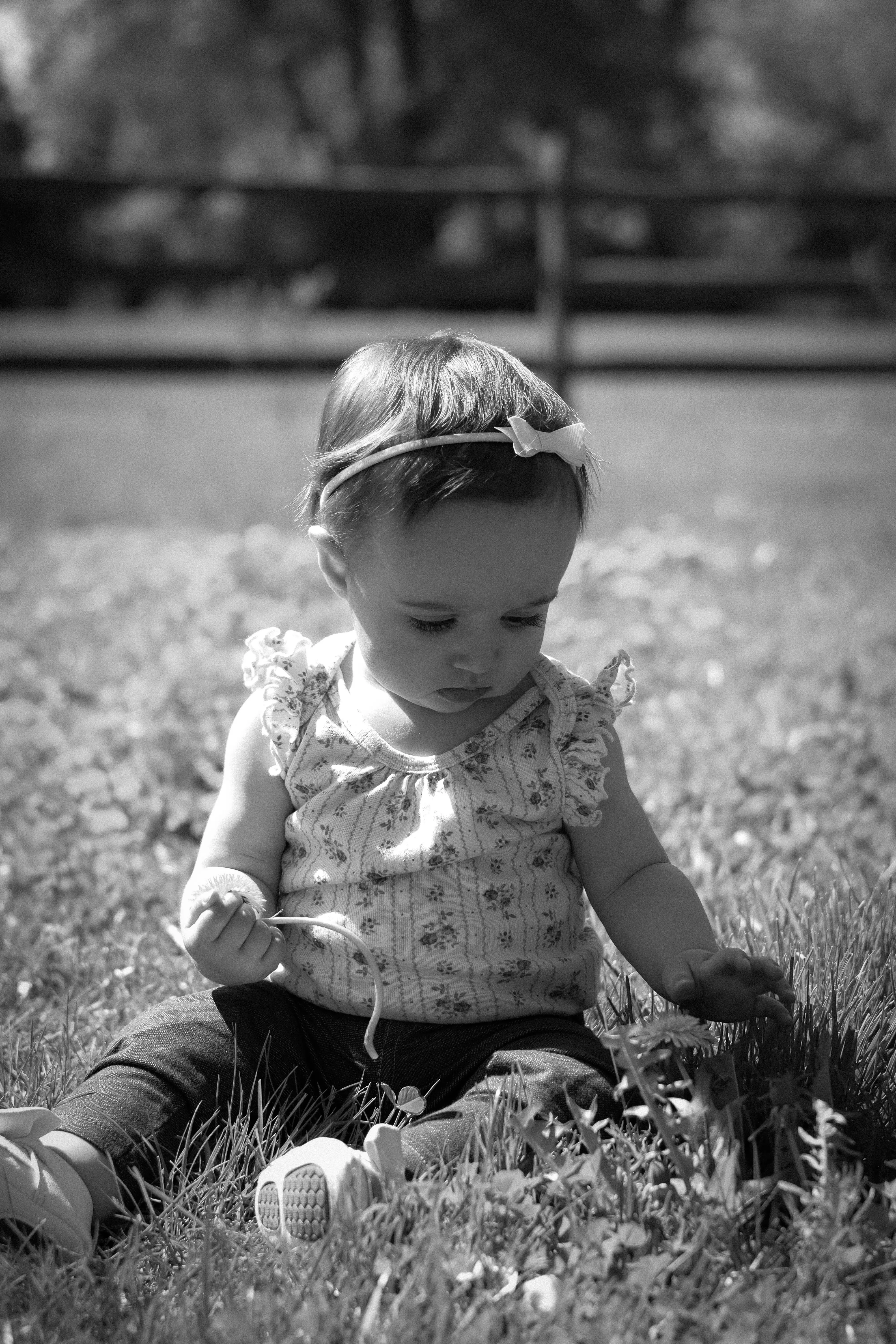 Middletown Delaware Family Portrait Photograph