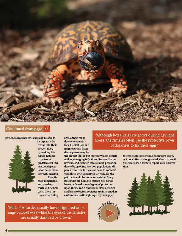 Back page of a magazine