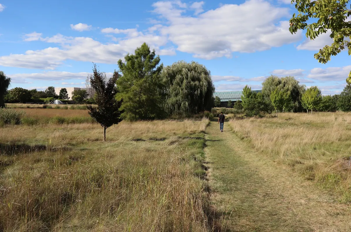 person walking away on a grass path