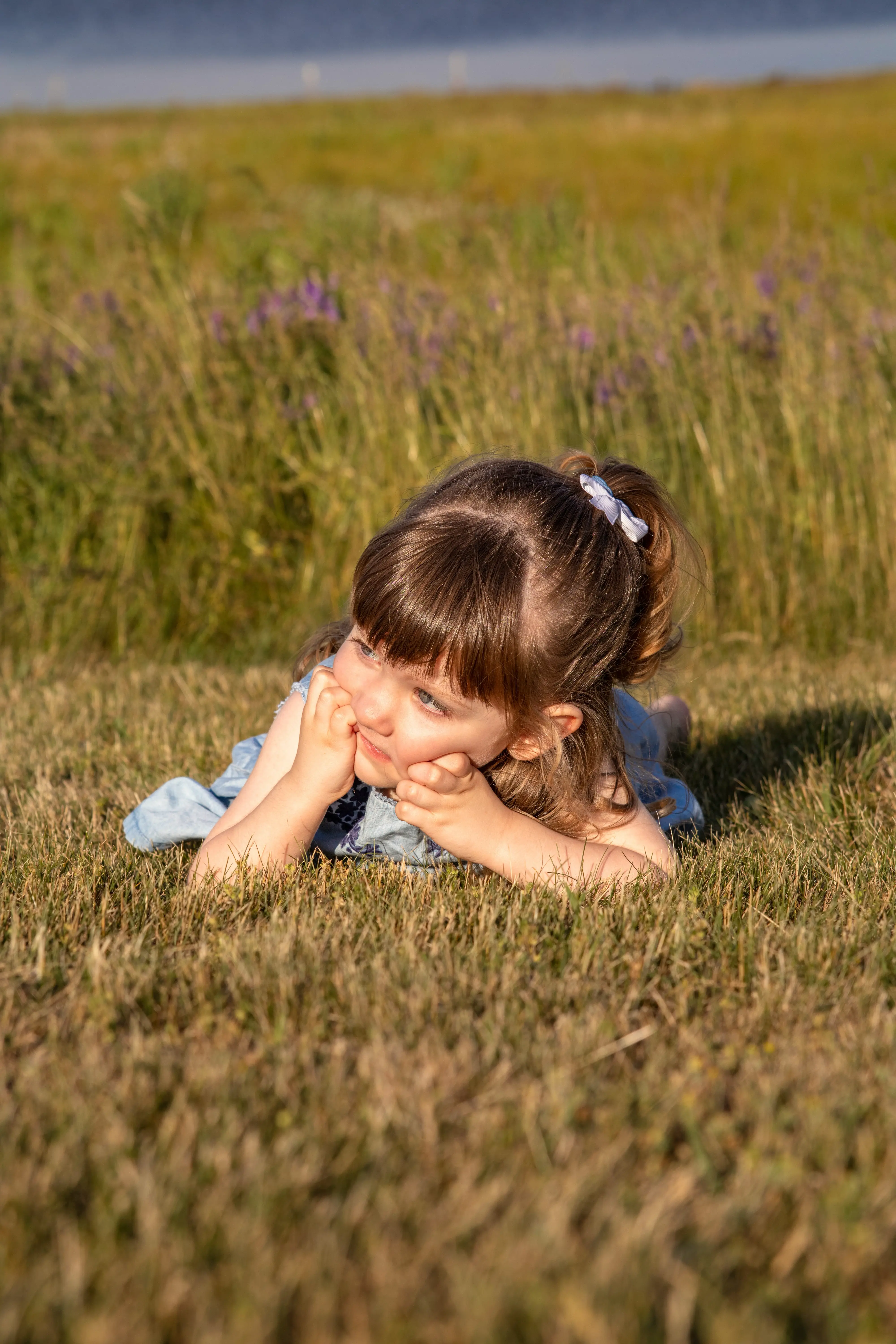 Affordable Family Photos Middletown DE